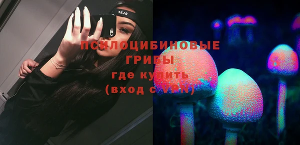 дурь Арсеньев
