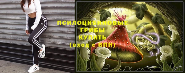 стафф Балабаново