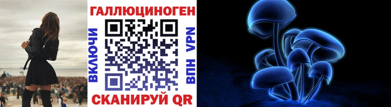 дарнет шоп Волоколамск Псилоцибиновые грибы GOLDEN TEACHER